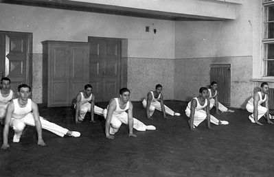 Mens gymnastics team 1930-1932
Left to right. First row: ?, Rosenberg, Benno Heiman,  Meiertal
Second row: ?, Kitt, Gleser, Aronovitsch
