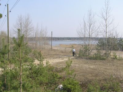 Probable site of the murdering of the Tallinn Jewish women
near Liiva Männiku cemetery
