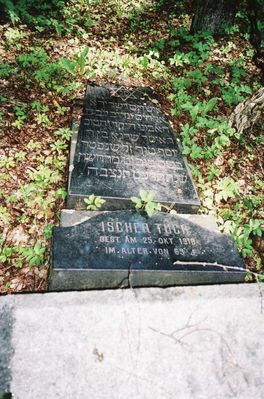 Tartu Roosi cemetery after vandalism in August 1992
