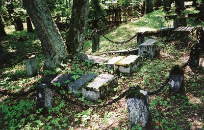 Tartu Roosi cemetery after vandalism in August 1992
