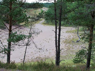 Kalevi-Liiva 2010
Probable site of the mass killings
