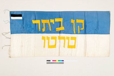 The flag of Beitar Tartu (1932-1935)
