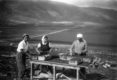 Working in the greenhouse in kibbutz Shaar Ha'Amakim. 1936.
Left to right: Ljuba Shadmi (Piel), Matilda Berman and friend.
