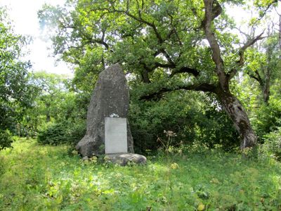 Kuressaare - The place of killings - Loode tammik (Loode Oak forrest) 1
