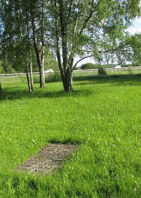 Anti-tank ditch near Tartu in 2012
